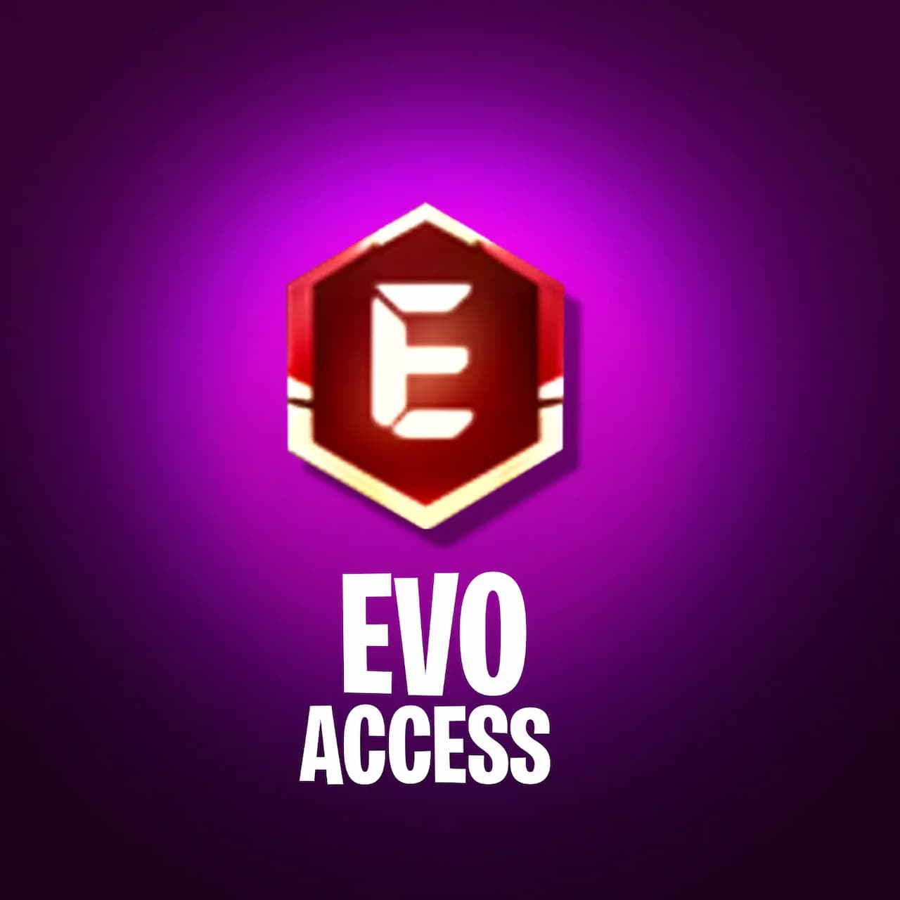 E-Badge/Evo Access (BD Server)